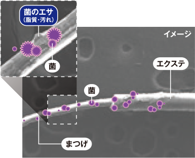 原料の段階から「抗菌素材」を配合し、装着後も「菌の増殖」を抑制します