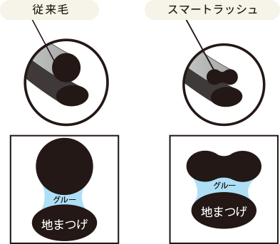 地まつげに対してエクステを上付けすることにより、エクステ 中央部の窪み部分と地まつげの接着面積を多く確保！